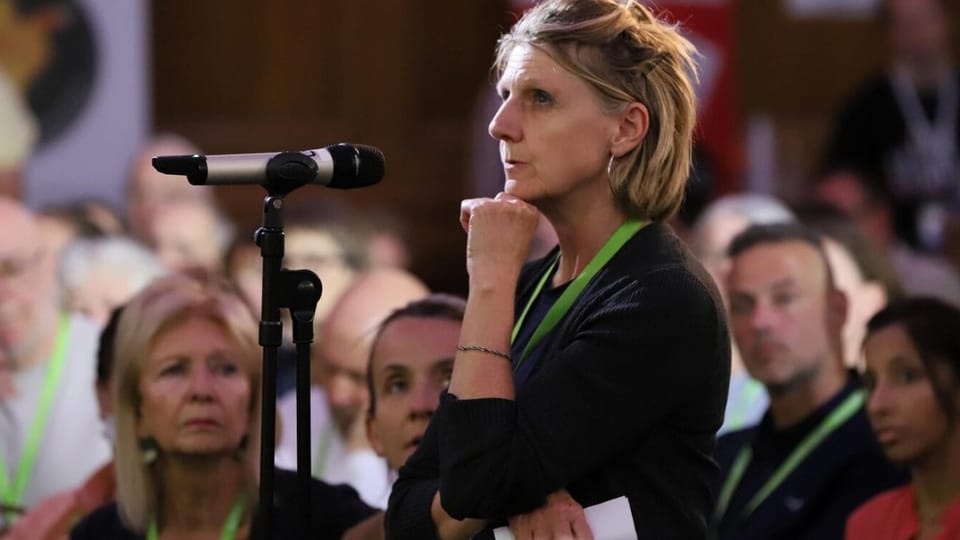 Stellungnahme von Paul Seaman im Namen des „Zurich Salon“ als Antwort auf den Artikel von „Geschichte der Gegenwart“